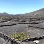 Zeolith Wirkung und Alternative