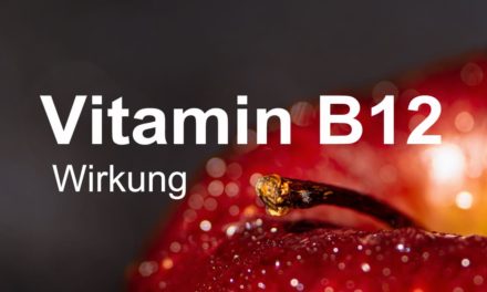 Vitamin B12 Wirkung