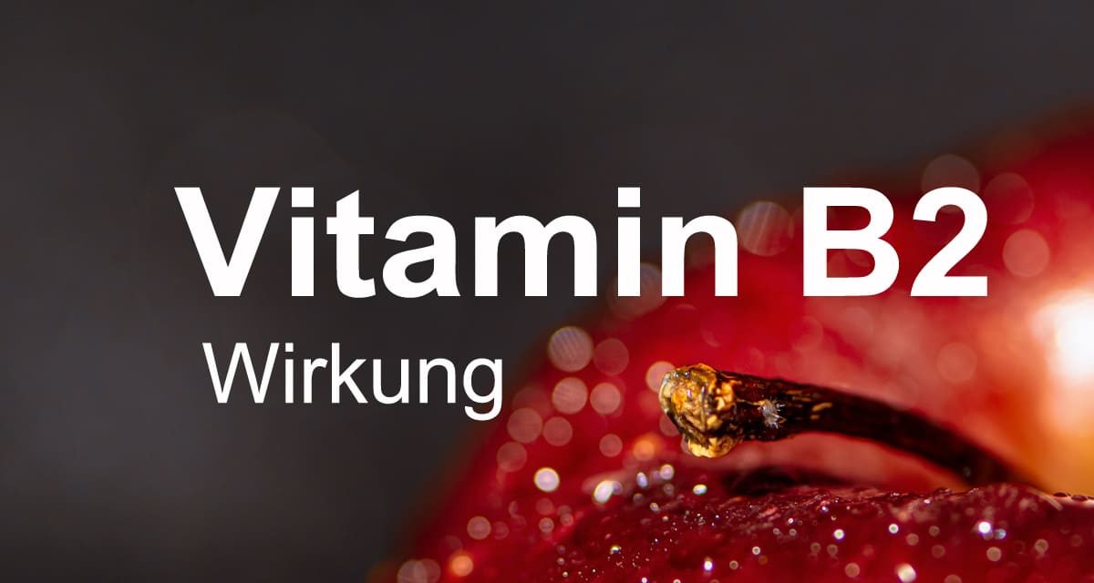 Vitamin B2 Wirkung