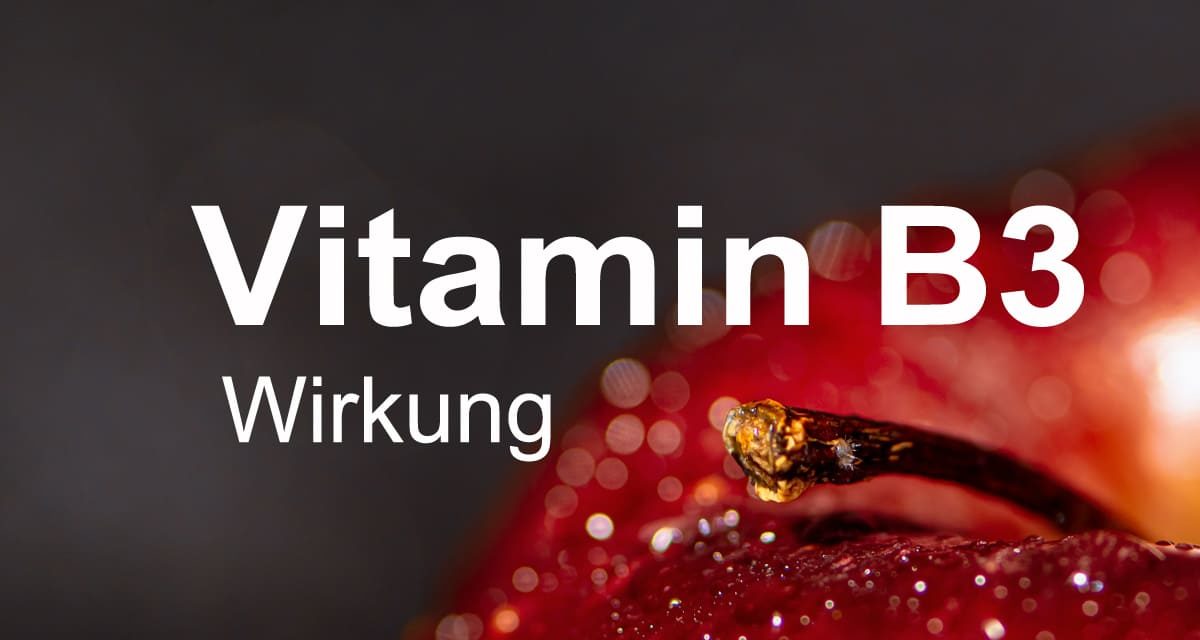 Vitamin B3 Wirkung