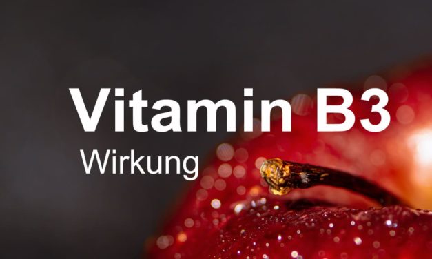 Vitamin B3 Wirkung