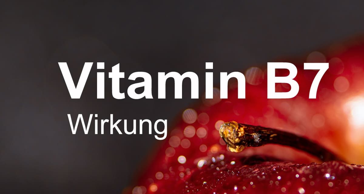 Vitamin B7 Wirkung