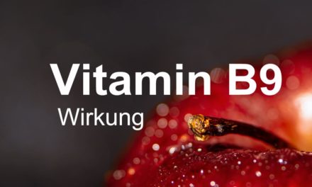 Vitamin B9 Wirkung