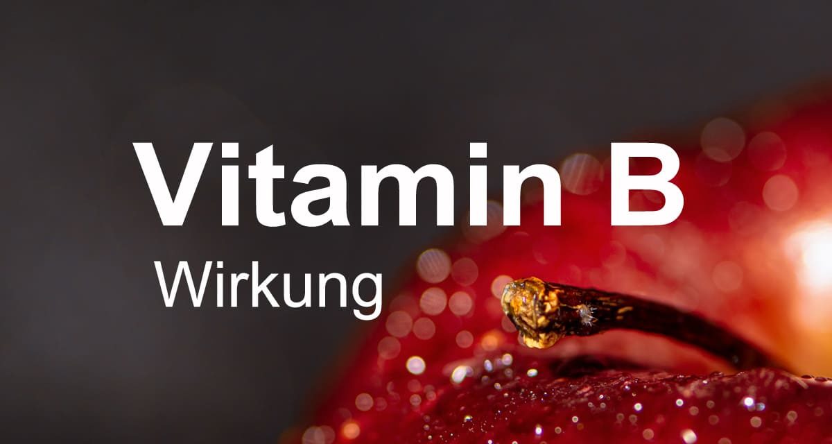 Vitamin B Wirkung